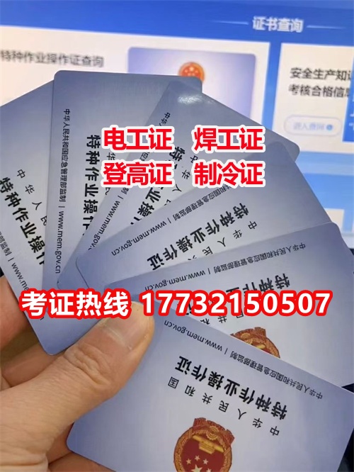 石家莊電工證報名入口官網（國網可查）